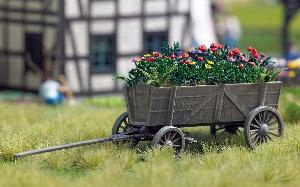 70-1228 - Leiterwagen mit Blumen