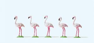 663-20372 - Flamingos